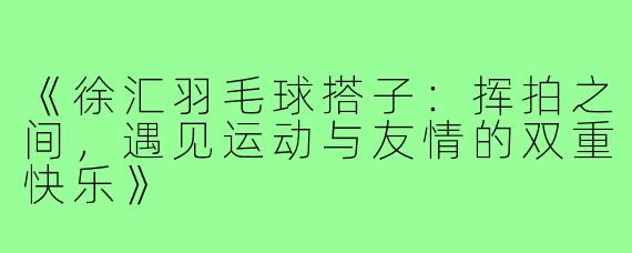 《徐汇羽毛球搭子:挥拍之间,遇见运动与友情的双重快乐》