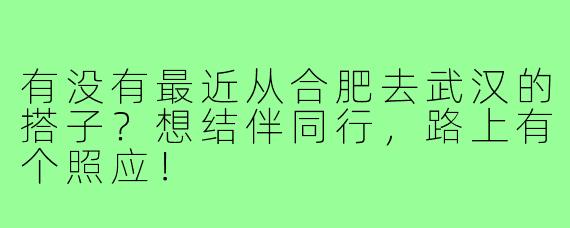 有没有最近从合肥去武汉的搭子？想结伴同行，路上有个照应！