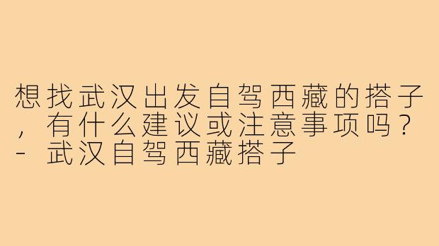 想找武汉出发自驾西藏的搭子,有什么建议或注意事项吗?-武汉自驾西藏搭子