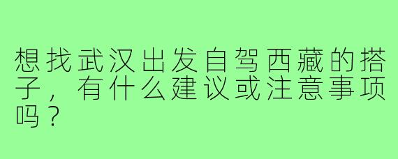 想找武汉出发自驾西藏的搭子,有什么建议或注意事项吗?