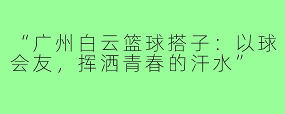 “广州白云篮球搭子：以球会友，挥洒青春的汗水”