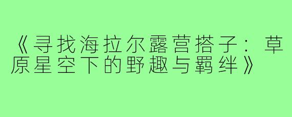 《寻找海拉尔露营搭子：草原星空下的野趣与羁绊》