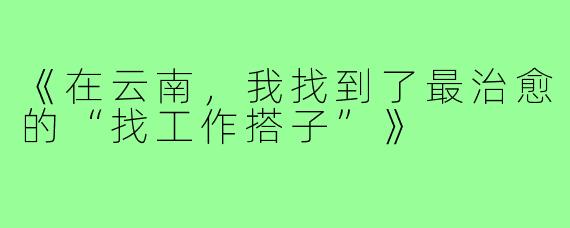 《在云南，我找到了最治愈的“找工作搭子”》
