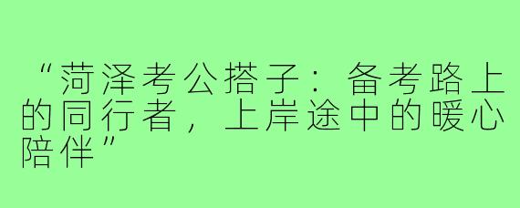 “菏泽考公搭子：备考路上的同行者，上岸途中的暖心陪伴”