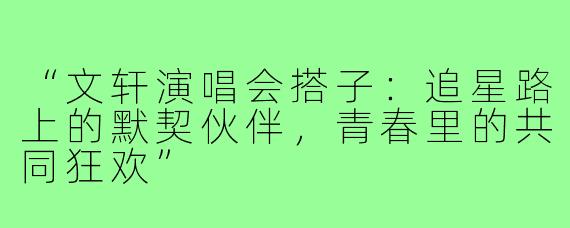 “文轩演唱会搭子：追星路上的默契伙伴，青春里的共同狂欢”