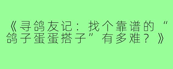《寻鸽友记：找个靠谱的“鸽子蛋蛋搭子”有多难？》