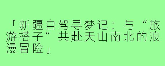 「新疆自驾寻梦记：与“旅游搭子”共赴天山南北的浪漫冒险」