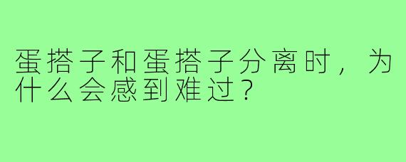 蛋搭子和蛋搭子分离时,为什么会感到难过?