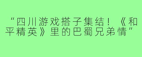 “四川游戏搭子集结!《和平精英》里的巴蜀兄弟情”