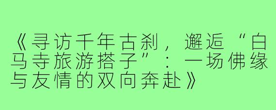 《寻访千年古刹，邂逅“白马寺旅游搭子”：一场佛缘与友情的双向奔赴》
