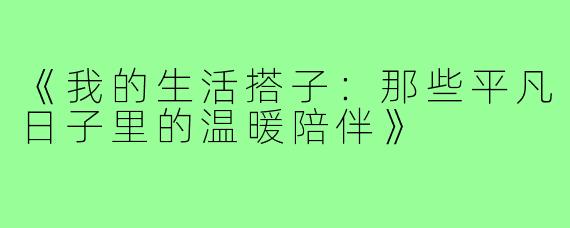 《我的生活搭子：那些平凡日子里的温暖陪伴》
