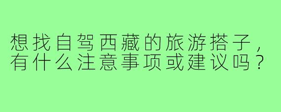 想找自驾西藏的旅游搭子,有什么注意事项或建议吗?