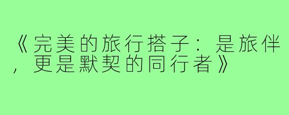 《完美的旅行搭子：是旅伴，更是默契的同行者》