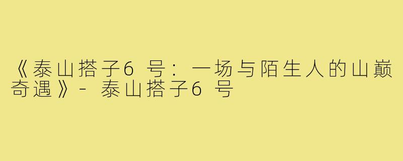 《泰山搭子6号：一场与陌生人的山巅奇遇》-泰山搭子6号