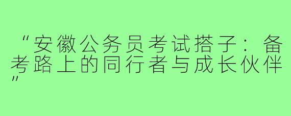 “安徽公务员考试搭子：备考路上的同行者与成长伙伴”