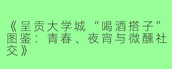 《呈贡大学城“喝酒搭子”图鉴：青春、夜宵与微醺社交》