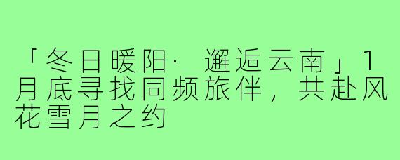 「冬日暖阳·邂逅云南」1月底寻找同频旅伴,共赴风花雪月之约