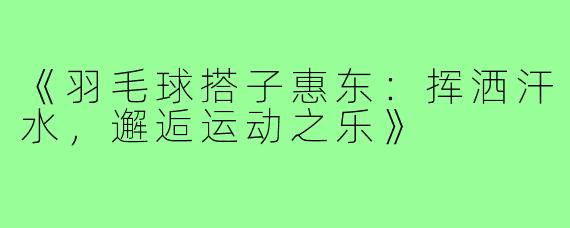《羽毛球搭子惠东：挥洒汗水，邂逅运动之乐》