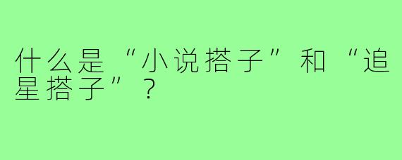 什么是“小说搭子”和“追星搭子”？