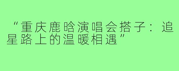 “重庆鹿晗演唱会搭子:追星路上的温暖相遇”
