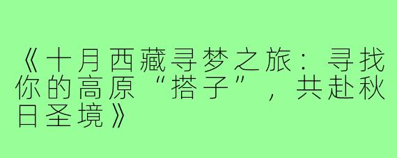 《十月西藏寻梦之旅：寻找你的高原“搭子”，共赴秋日圣境》