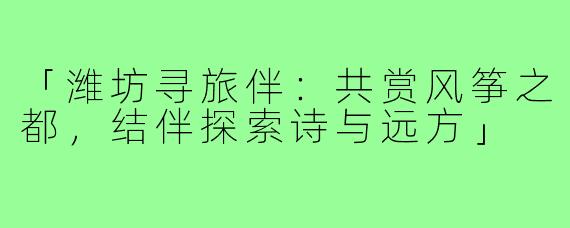 「潍坊寻旅伴：共赏风筝之都，结伴探索诗与远方」