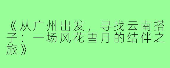 《从广州出发，寻找云南搭子：一场风花雪月的结伴之旅》