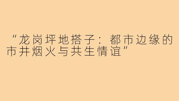 “龙岗坪地搭子：都市边缘的市井烟火与共生情谊”