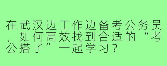 在武汉边工作边备考公务员,如何高效找到合适的“考公搭子”一起学习?