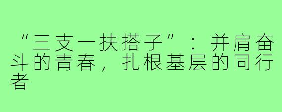 “三支一扶搭子”：并肩奋斗的青春，扎根基层的同行者