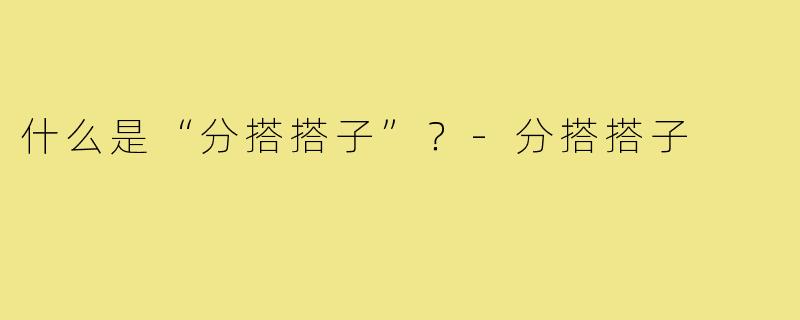 什么是“分搭搭子”？