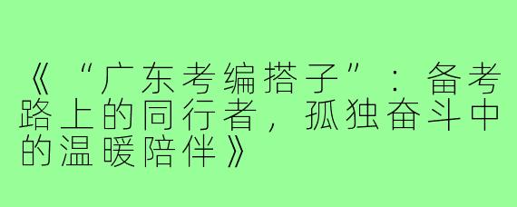 《“广东考编搭子”:备考路上的同行者,孤独奋斗中的温暖陪伴》