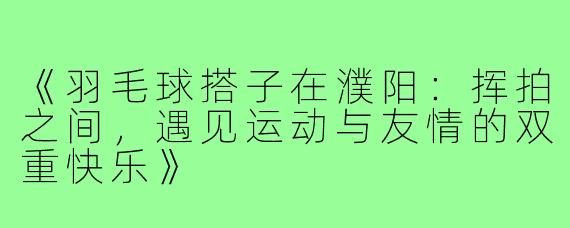 《羽毛球搭子在濮阳:挥拍之间,遇见运动与友情的双重快乐》