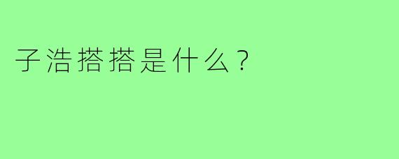 子浩搭搭是什么?