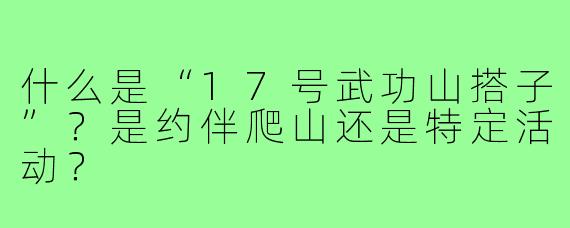 什么是“17号武功山搭子”?是约伴爬山还是特定活动?