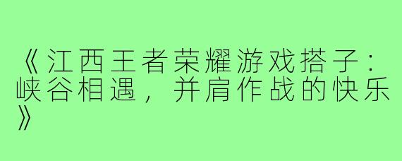 《江西王者荣耀游戏搭子:峡谷相遇,并肩作战的快乐》
