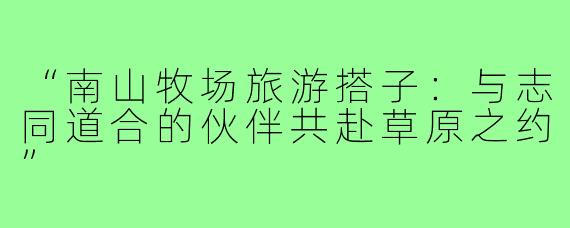 “南山牧场旅游搭子：与志同道合的伙伴共赴草原之约”