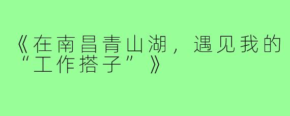 《在南昌青山湖,遇见我的“工作搭子”》