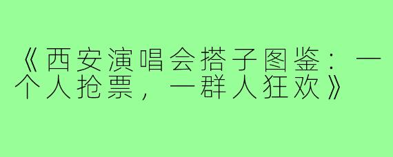 《西安演唱会搭子图鉴：一个人抢票，一群人狂欢》