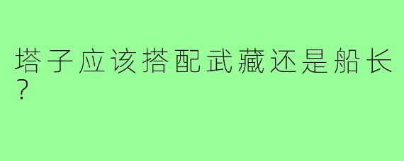 塔子应该搭配武藏还是船长?
