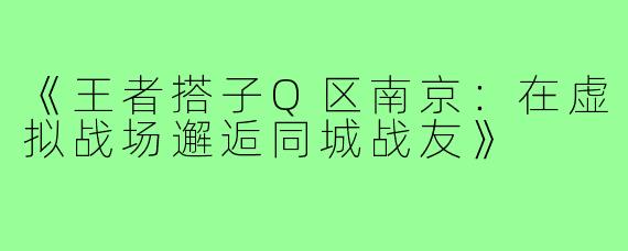 《王者搭子Q区南京:在虚拟战场邂逅同城战友》