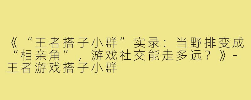 《“王者搭子小群”实录：当野排变成“相亲角”，游戏社交能走多远？》-王者游戏搭子小群