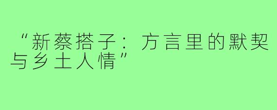“新蔡搭子:方言里的默契与乡土人情”