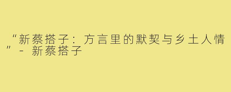 “新蔡搭子:方言里的默契与乡土人情”-新蔡搭子