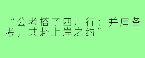 “公考搭子四川行：并肩备考，共赴上岸之约”