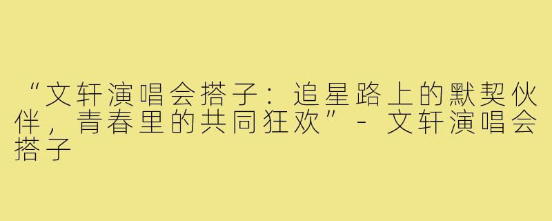 “文轩演唱会搭子：追星路上的默契伙伴，青春里的共同狂欢”-文轩演唱会搭子
