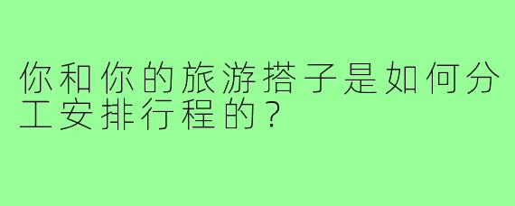 你和你的旅游搭子是如何分工安排行程的？