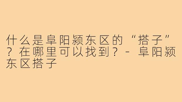 什么是阜阳颍东区的“搭子”?在哪里可以找到?-阜阳颍东区搭子