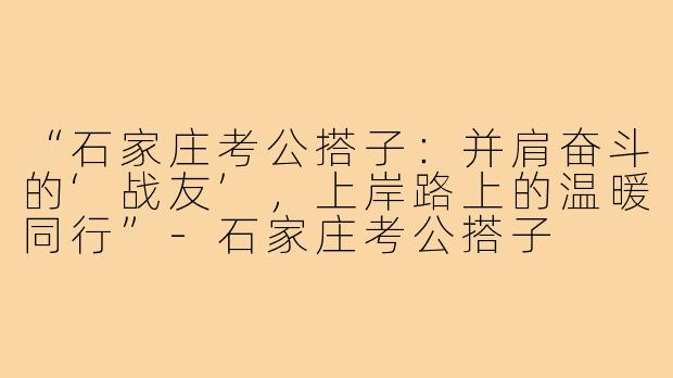 “石家庄考公搭子：并肩奋斗的‘战友’，上岸路上的温暖同行”-石家庄考公搭子