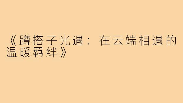 《蹲搭子光遇:在云端相遇的温暖羁绊》